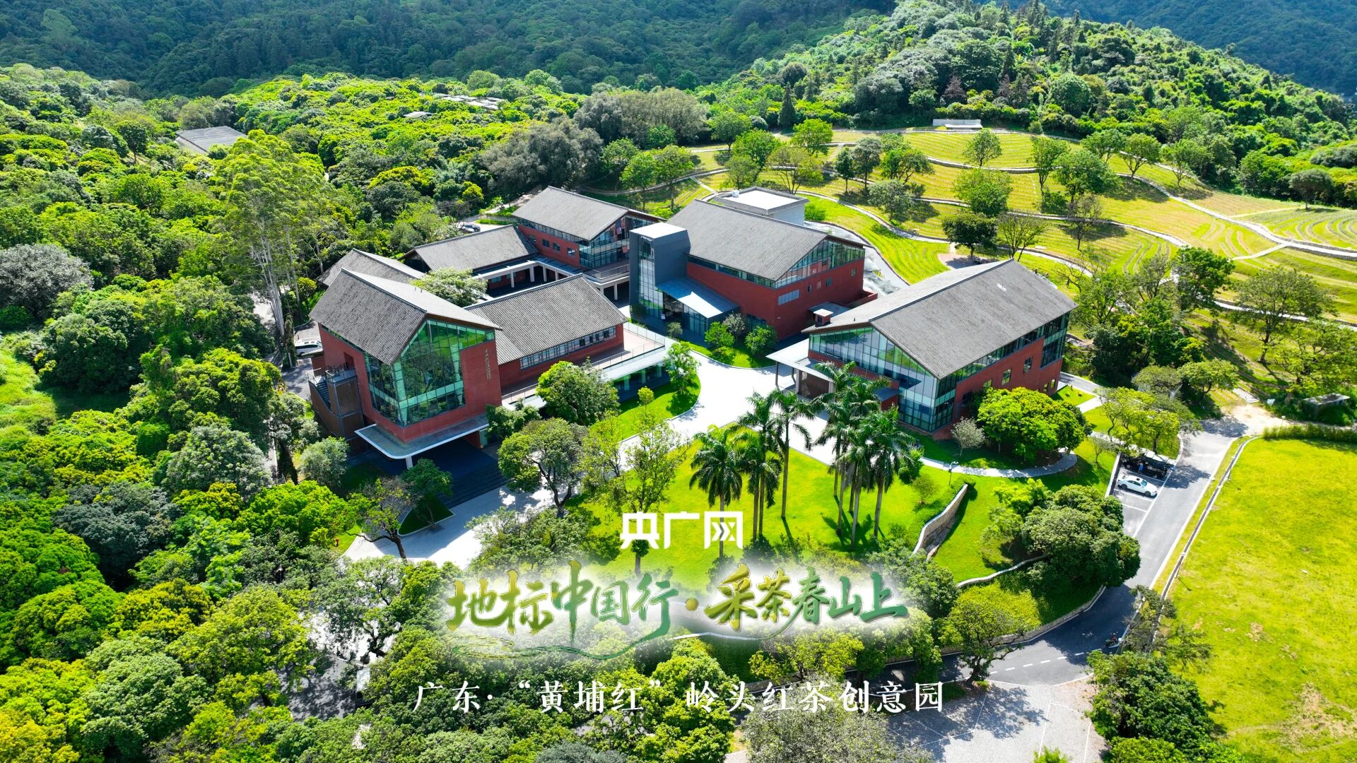 1775006436173575.jpg 封面.jpg