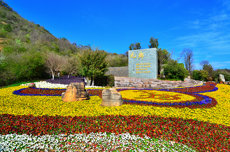 花簇九乡.jpg